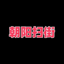 北京朝阳扫街